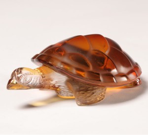Tortoise Amber