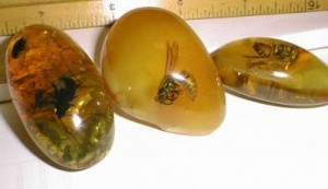 fake amber inclusions